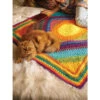 Lion Brand Rio Accent Afghan Crochet Kit -Textile Shop 206259 75861.1693428575