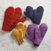 Herrschners Easy Family Mittens Yarn Kit -Textile Shop 224934 46005.1693429607