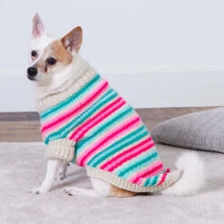 Red Heart Jazzy Stripes Dog Coat Knit Kit -Textile Shop 226144 3 77695.1696276398