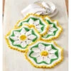 Village Yarn Delightful Daisy Scrubbies Crochet Yarn Kit -Textile Shop 235327 32713.1693431319