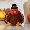 Herrschners Wobbles & Gobbles Turkey Crochet Kit 1 Herrschners Wobbles & Gobbles Turkey Crochet Kit -Textile Shop 236260 52877.1693597596