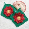 Village Yarn Poinsettia Dishcloths Crochet Kit 2 Village Yarn Poinsettia Dishcloths Crochet Kit -Textile Shop 586075 63934.1693468144