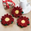 Herrschners Poinsettia Scrubbies Crochet Kit -Textile Shop 586344 62058.1695248274