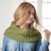 Willow Yarns Greensward Cowl Knit Yarn Kit 1 Willow Yarns Greensward Cowl Knit Yarn Kit -Textile Shop 730969 32139.1693476379